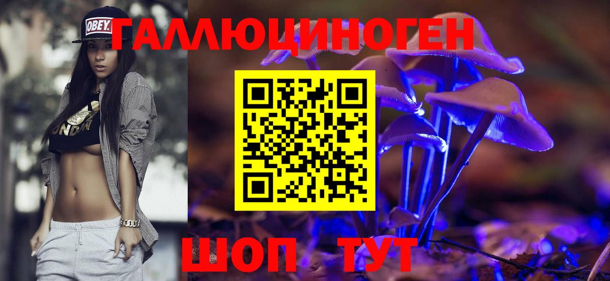 цены   Вход с VPN  Кизилюрт  Псилоцибиновые грибы Psilocybine cubensis  Псилоцибиновые грибы мицелий 
